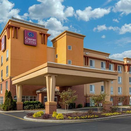 Comfort Suites Seaford Exterior foto